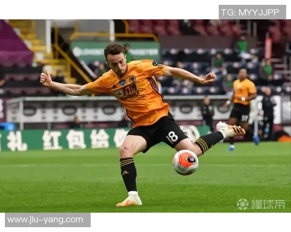 卢卡库的传奇之路：从青涩小将到世界级前锋的成长历程