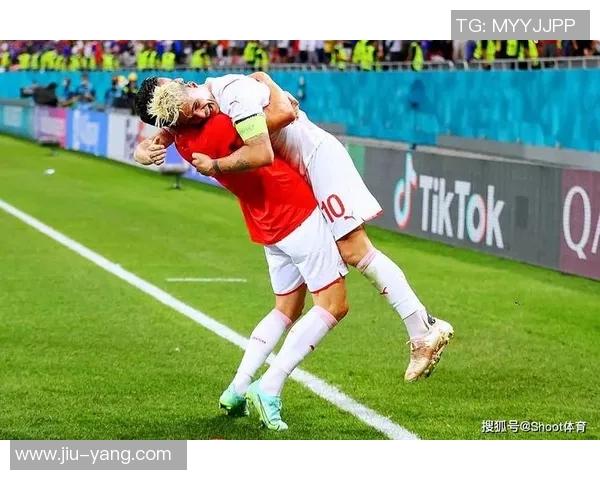 北爱尔兰与瑞士足球对决阵容分析及战术解读