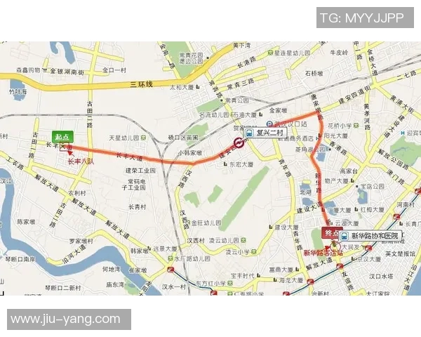 武汉篮球队的控制策略与发展前景深度解析